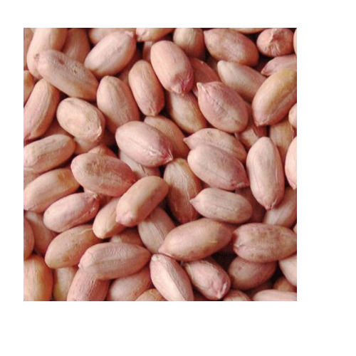 Common Natural Healthy And Rich Protein Groundnut Seeds(Reducing Bad Cholesterol)