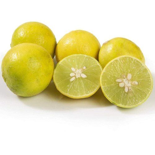 Rich In Vitamins C Minerals Antioxidants Sour Taste Indian Origin Fresh Yellow Lemon 