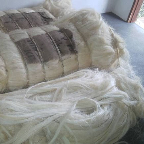 100% Natural Raw Sisal Fiber For Paper, Cloth, Rope, Twine Manufacturing