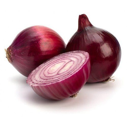 50% Moisture Fresh Round Shape Raw Onion
