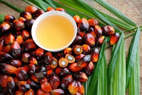 Palm Oil