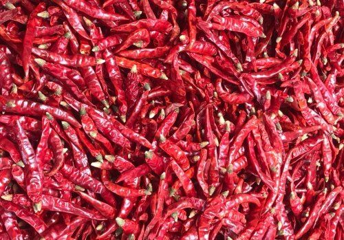 Well Dried Elongated Spicy In Taste Raw Red Chilli