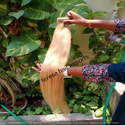 High Quality #60 / #613 Indian Blonde Virgin Remy Human Hair Extensions  Application: Profesional at Best Price in Chennai | Mother Teresa Hair  Exports