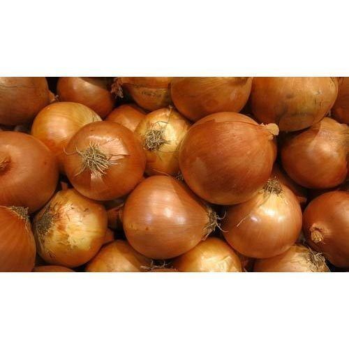 Round Indian Origin Naturally Grown Antioxidants And Vitamins Enriched Healthy Farm Fresh Natural Brown Onion