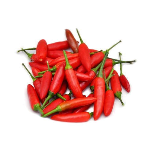 Long Indian Origin Naturally Grown Antioxidants And Vitamins Enriched Healthy Farm Fresh Spicy Birds Eye Chilli 