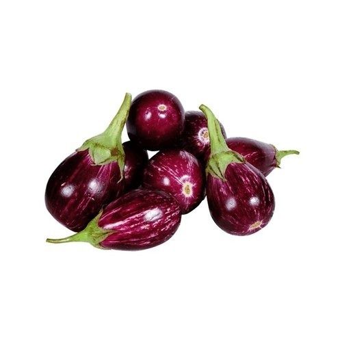 Pure And Whole Commonly Cultivated Raw Fresh Brinjal For Cooking Moisture (%): 0%