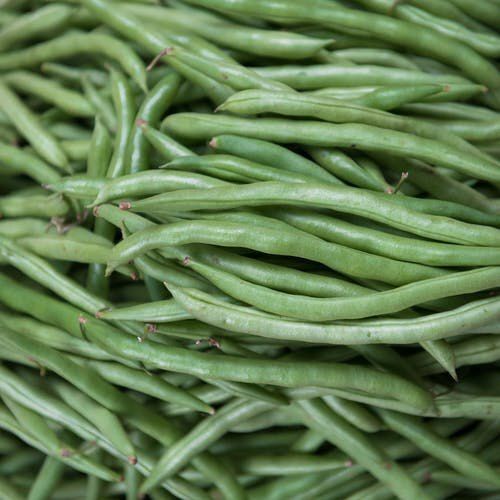 Pure Natural And Organic Special Grade With No Preservatives Green Beans
