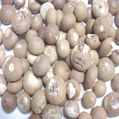 100 Percent Organic Fresh And Natural A1 Dried Betel Nuts For Mouth Freshener  Broken (%): 5 %