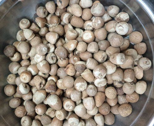 100 Percent Organic Fresh And Natural Whole Pooja Betel Nut For Mouth Freshener 