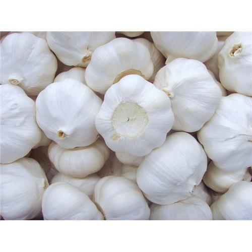 100% Pure And Natural Chemical Free White Fresh Garlic For Cooking Purpose Moisture (%): 12%