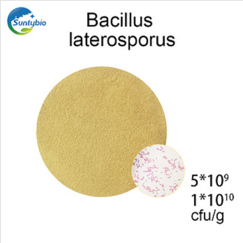 Bacillus Laterosporus Animal Nutritional Feed Supplement Powder