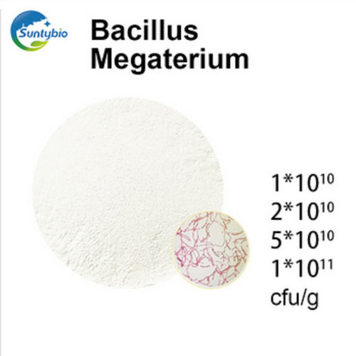 Bacillus Mucilaginosus Animal Nutritional Feed Supplement Powder Suitable For: Cattle