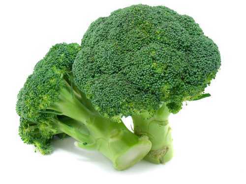 Green Fresh Broccoli Moisture (%): 12%