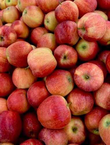 Rich In Fiber, 100% Natural And Fresh Red Round Shape Healthy Apple Fruits