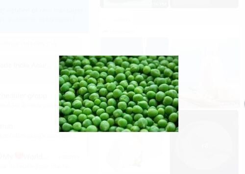 1 Kg 100% Pure Fresh A-Grade Highly Nutrient Enriched Healthy Green Peas