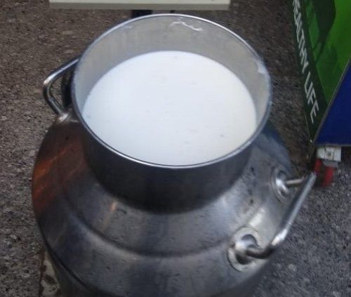 100 Percent Natural Healthy And Pure Good Source Of Calcium Goat Milk For Home Purpose 