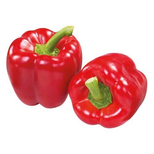 High In Phytonutrients A Grade Organic Red Bell Pepper /Capsicum
