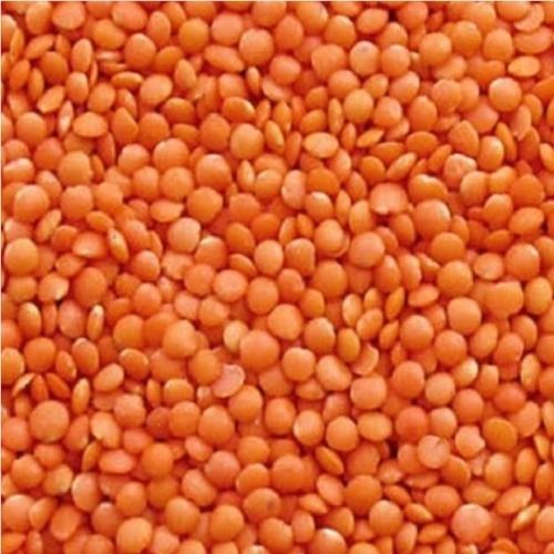 Common 100% Pure Fresh Nutritent Enriched Healthy Unpolished Pink Masoor Dal