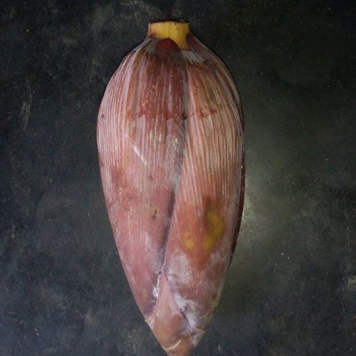 Healthy And Farm Fresh Maroon Banana Flower