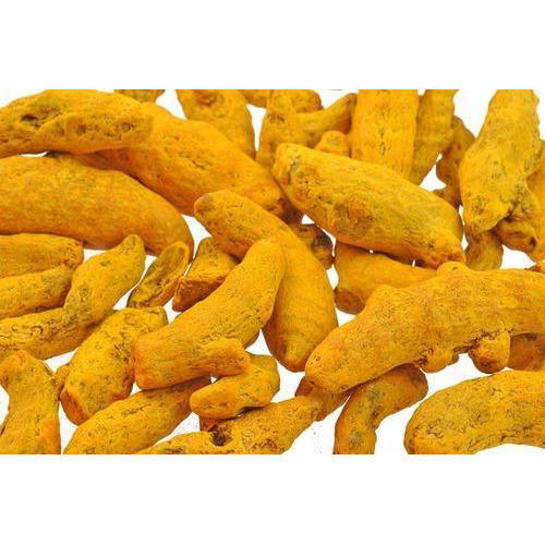 Indian Origin Naturally Grown Yellow Farm Fresh Turmeric Finger