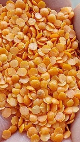 A Grade 100% Pure Fresh And Natural Highly Protein Rich Hygienically Prepared Masoor Dal