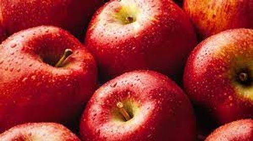 Indian Originated Commonly Cultivated Nutritious And Healthy Red Apples