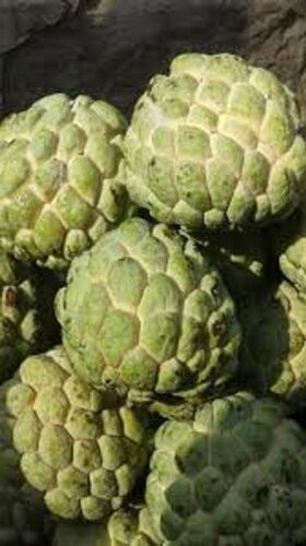 custard apple