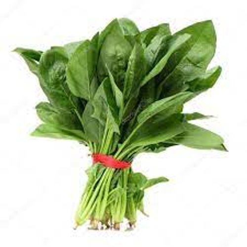 Leaf Organic, Fresh Cleaned And Without Roots Healthy Spinach 