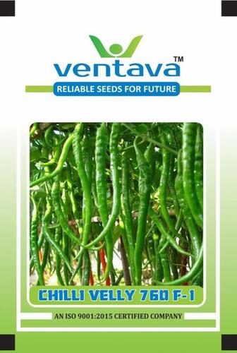 F1 Hybrid Chilli Velly 760 Seeds For Commercial Farming Purposes