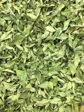 Natural A Grade Green Dry Curry Leaves With 12 Months Of Shelf Life Grade: No 1