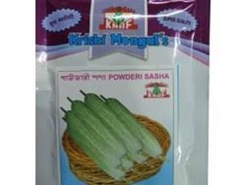 Natural Hygienically Packed Hybrid Cucumber Seeds