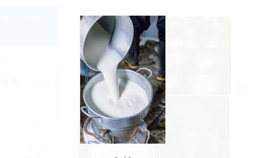 उच्च पौष्टिक मूल्य और भरपूर स्वाद वाला शुद्ध प्राकृतिक भैंस का दूध आयु समूह: वृद्धावस्था