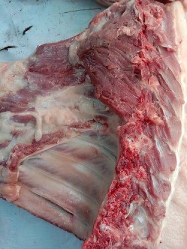 Pork Meat Fresh, For Restaurant, Packaging Type: Plastic Bag