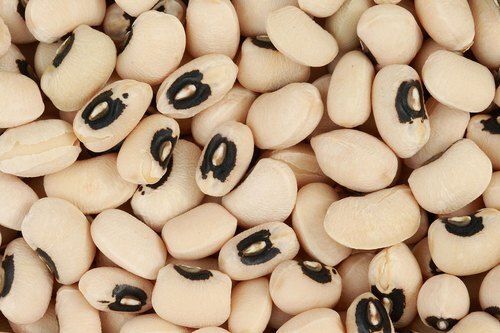 High Fibre And Protein Content Natural Black Eyed Peas Seeds