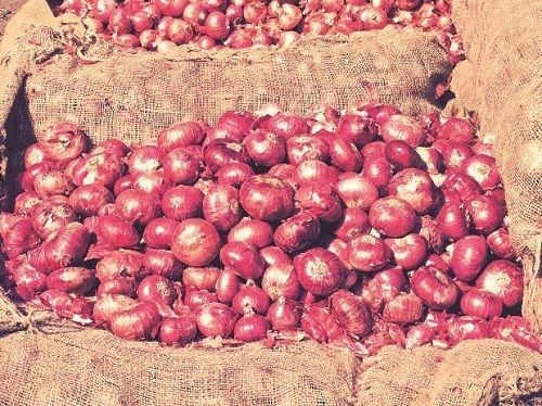 Medium Sized Pure And Natural Fresh Quality Red Onions For Cooking And Salads Moisture (%): 12%