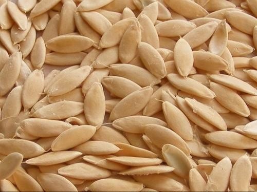 Organic Dried Cucumber Seeds, Eating, Planting, Home Gardening