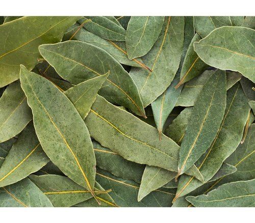 100% Original And Fresh Flavourful Dried Spice Green Bay Leaf For Cooking Use