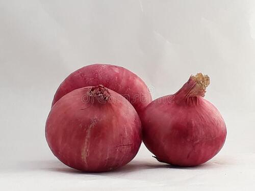 100 Percent Healthy Fresh And Natural Onion Good Source Of Vitamins 