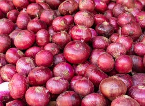 100 Percent Healthy Fresh And Natural Onions, Good Source Of Vitamins 