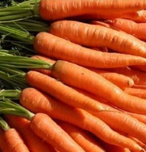 100 Percent Natural Pure And Organic Fresh Red Carrot, Rich In Vitamins A