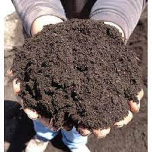 Agricultural Compost Fertilizer Chemical Name: Compound Amino Acid