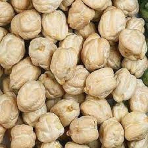 100 Percent Pure And Natural Good Quality Healthy White Gram Seeds