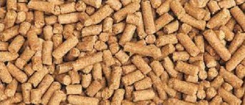 Impurities And Chemical Free Highly Nutritious Improve Digestion Natural Cattle Feed