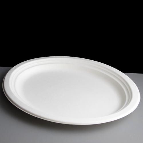 White Easy To Use Recycle And Eco Friendly Light Weight Disposable Plate For Parties