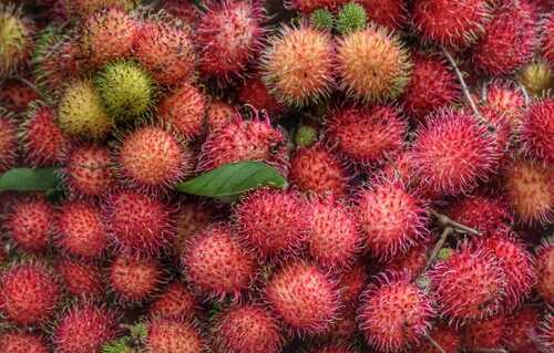 Round 100 Percent Organic And Farm Fresh Natural Red Rambutan