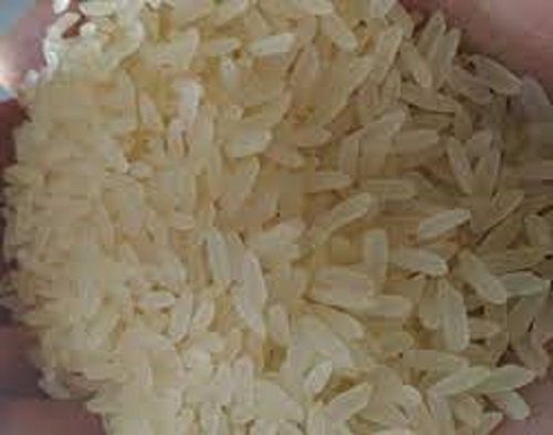 Common Natural Pure And Fresh Long Gain White Basmati Rice For Cooking Purpose