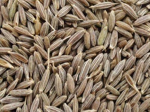 Brown Highly Nutritious Aromatic Chemical And Preservative Free Flavorful Dried Cumin Seed