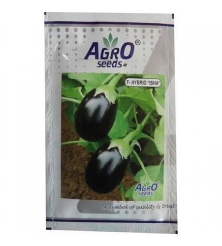 Agro Brinjal Seed For Cultivation Purposes, Packaging Type Packet, 25% Moisture