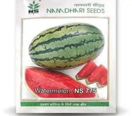 Green Color Round Shape 100 Percent Natural Ns 775 Water Melon 