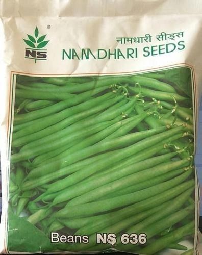 Hybrid Namdhari Vegetable Beans Seed, For Cultivation Usage With 25% Moisture